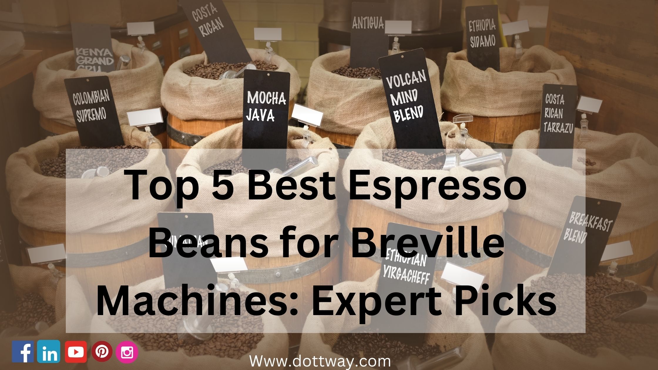 Best Espresso Beans for Breville
